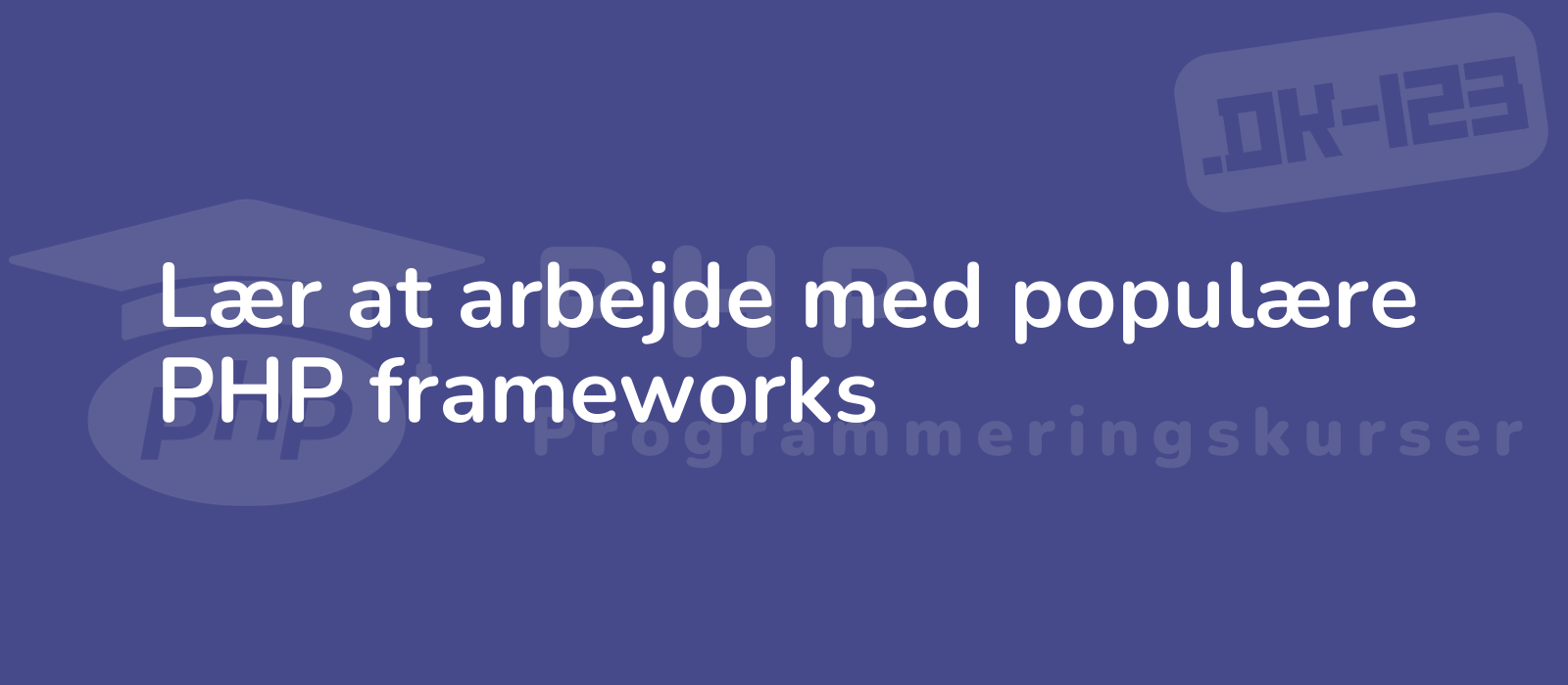 professional developer coding php frameworks on a laptop surrounded by programming languages representing efficiency and expertise